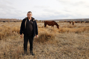 Фермер из Большеглушицкого района разводит лошадей для души
