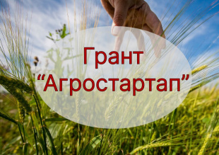 Грант «Агростартап» вырастет до 7 миллионов рублей