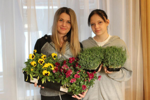 В Жигулевске семья выращивает микрозелень и пищевые цветы 