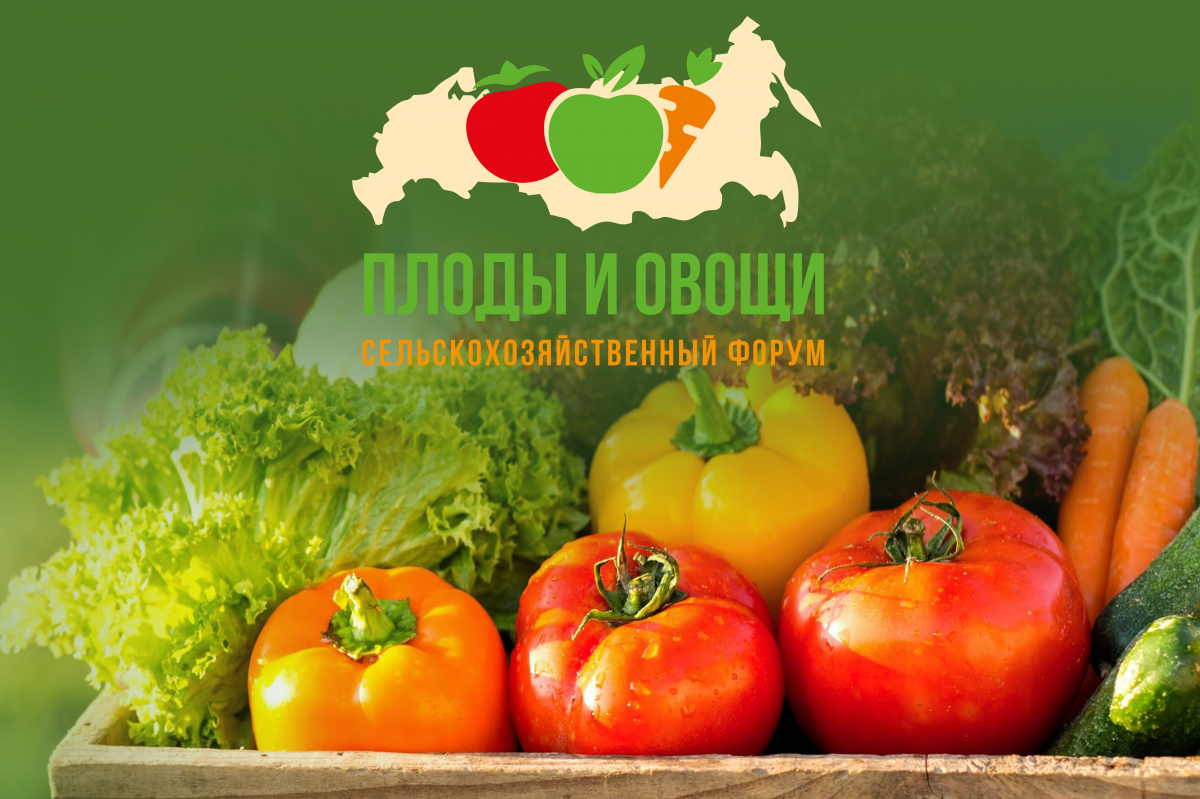Андрей Медведев, владелец садовой компании УК «Мост-Агро» выступит на форуме «Плоды и овощи России – 2021»