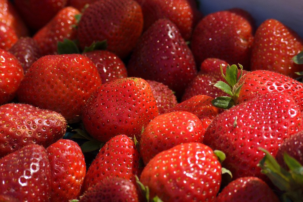 Грантовая поддержка производства плодово-ягодной продукции для малых форм хозяйствования