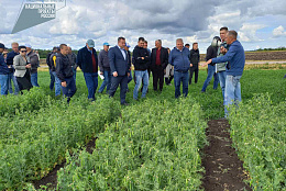 Отчет по районному семинару на тему «Выявление точек роста по направлению развития растениеводства субъектов МСП в АПК в муниципальном районе Безенчукский Самарской области»
