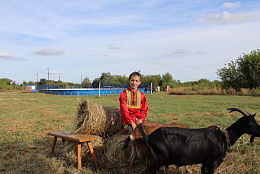 В Самарской области прошел фестиваль сельских традиций