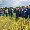 Отчет по районному семинару на тему «Выявление точек роста по направлению развития растениеводства субъектов МСП в АПК в муниципальном районе Безенчукский Самарской области»